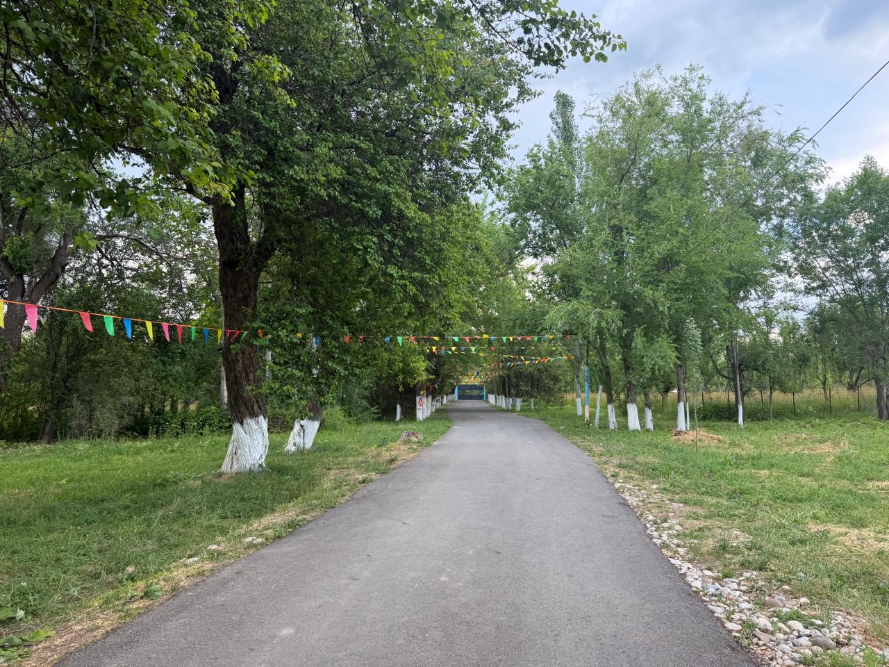 Лагерь ТАУ ГҮЛІ — фото 47